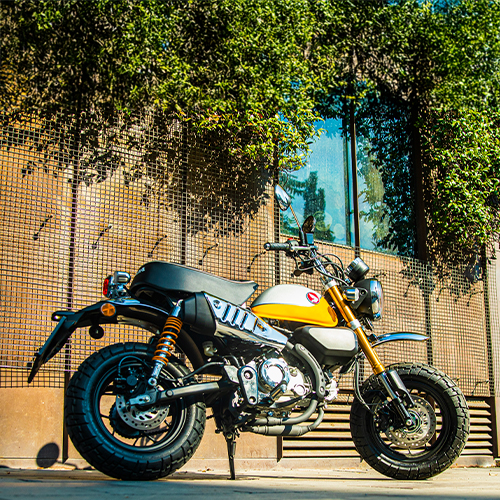 HONDA | MONKEY